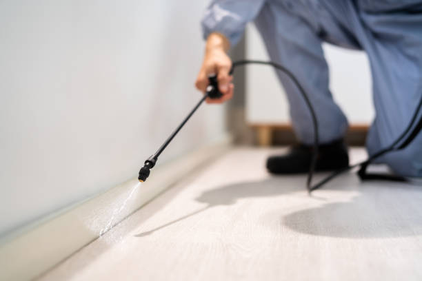 Licensed Pest Control service in Middleburg Heights, OH - Show Me Pest Control